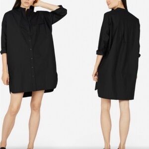 Everlane button up long sleeve shirt dress - cotton twill (pockets!)